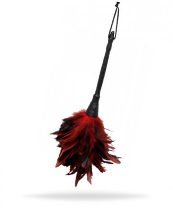 Frisky Feather Duster