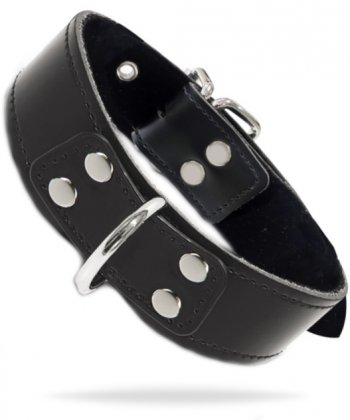 Taboom Elegant D-Ring Collar