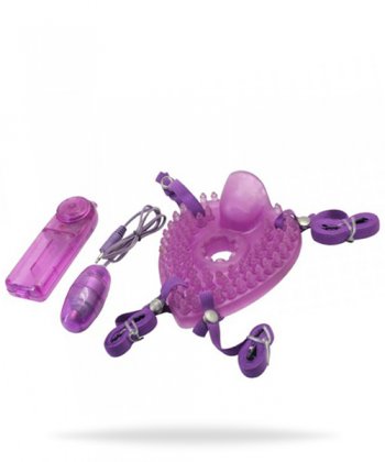 Timeless Pleasure Turtle