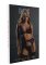 3PC Lace Bra, Panty & Garter Set