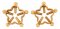 Bad Kitty Star Nipple Jewellery