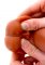 Silicone Foreskin Dildo 20 cm