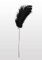 Taboom Feather Tickler