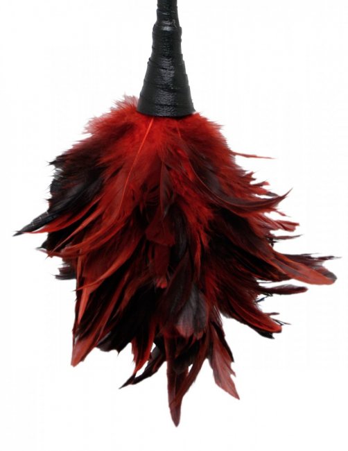 Frisky Feather Duster