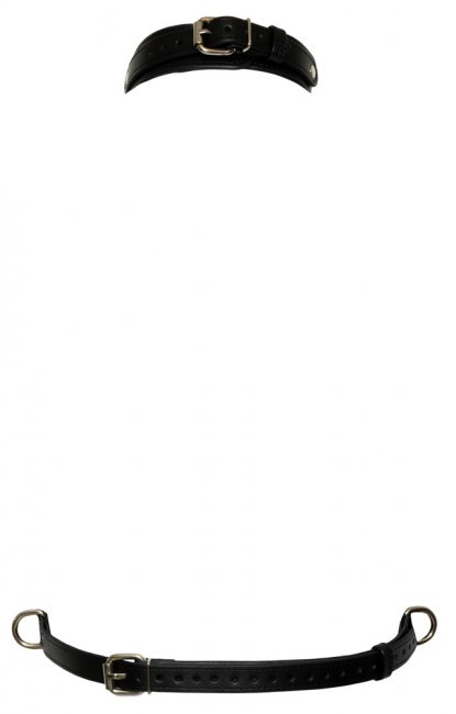 Bad Kitty Chest Harness