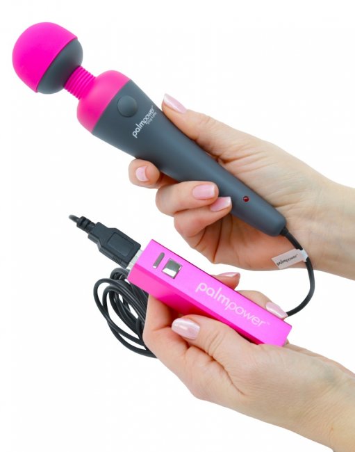 Palm Power Massage Wand