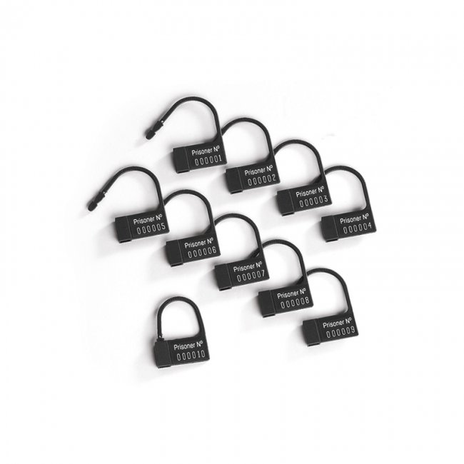 Pubic Enemy No 2 Cock Cage