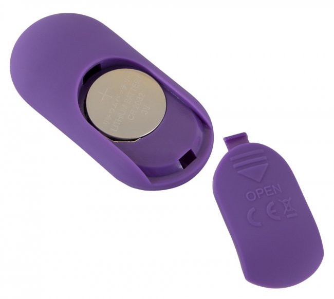 Sweet Smile Panty Vibrator